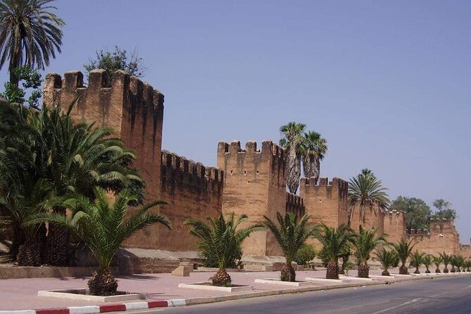 Ali Baba Oasis And The Old Medina Of Taroudant Private Day Tour - The Beauty of Ali Baba Oasis