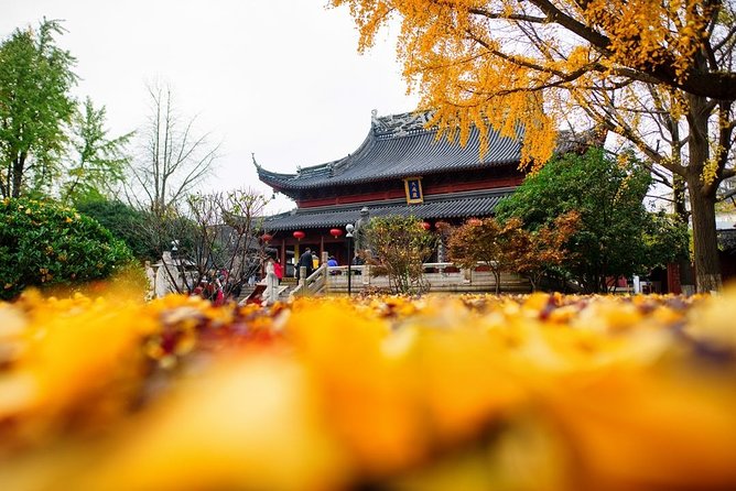All Inclusive Amazing Nanjing City Highlights Private Day Tour - Why Choose This Tour