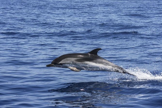 All Inclusive Boat Trip From Alanya - Activities and Amenities