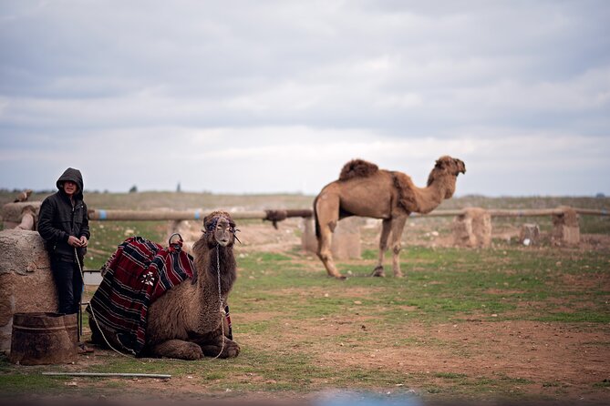 All-inclusive Private Guided 2-day Tour of Sanliurfa - Pickup and Timing