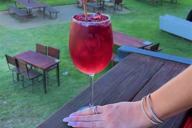 All-Inclusive Private Wine Tour in Baja - Traveler Information