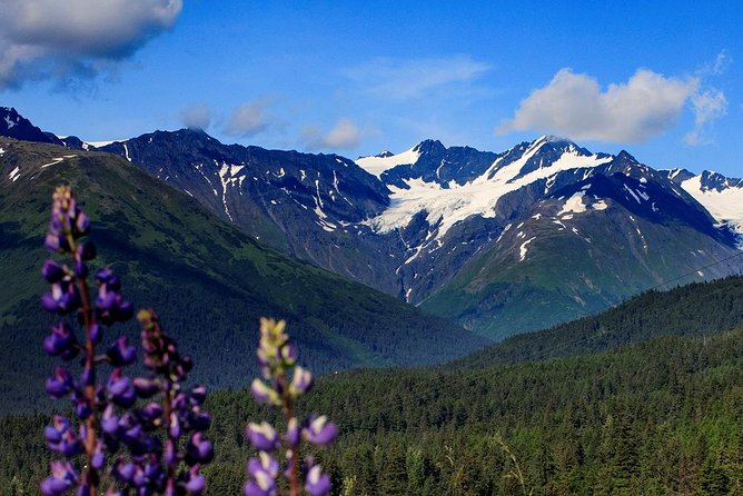 Alyeska Tram - A Self-Guided Tour - Itinerary and Inclusions