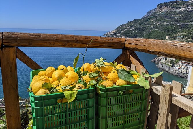 Amalfi Coast - Maiori: Path of Lemons, Tour With Tasting - Reviews and Ratings
