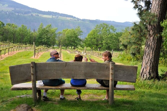 Amarone Wine Tour Review: A Taste of Italy - Guided Wine Tasting Experience