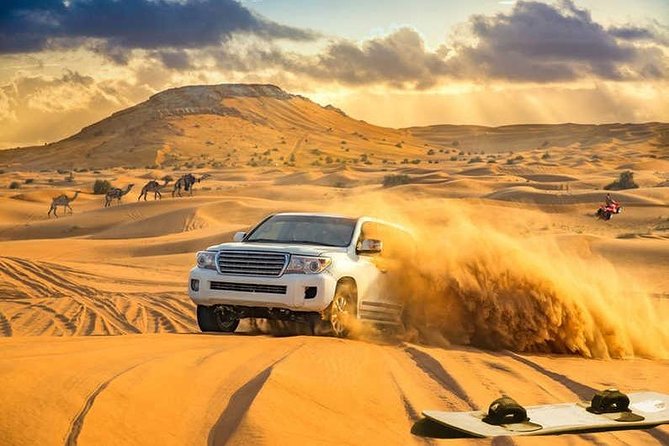 Amazing Abu Dhabi Evening Safari - Camel Encounters