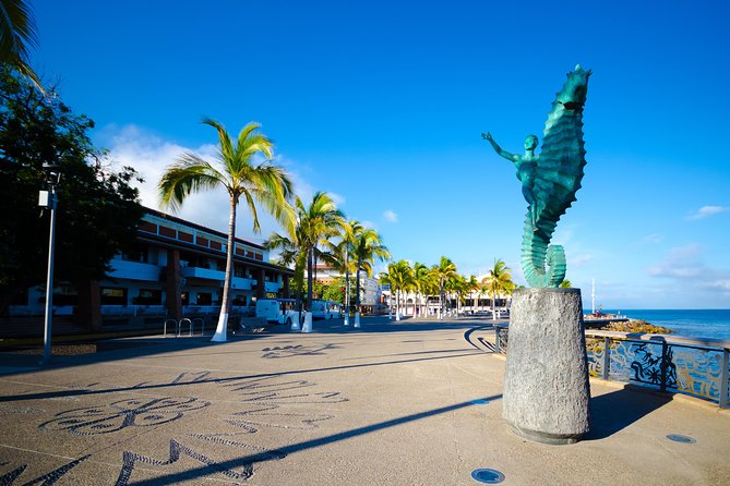 Amazing Vallarta - Highlights and Activities