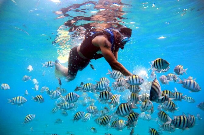 Amber Cove - Taino Bay VIP Party Boat and Snorkeling Tour - Booking and Cancellation Policy