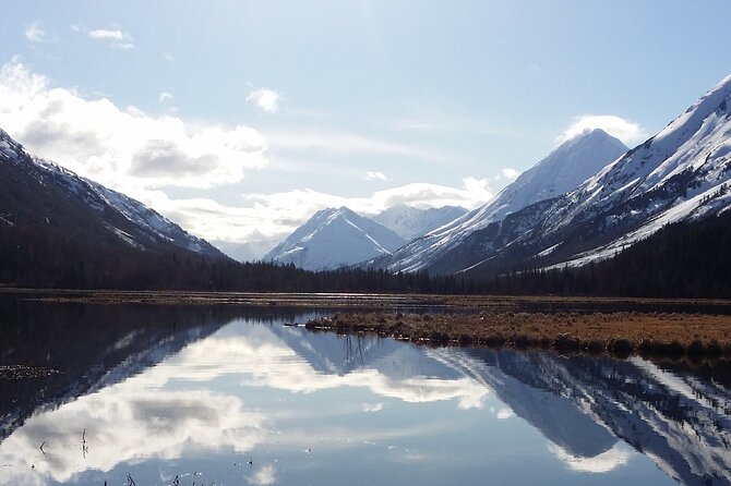 Anchorage to Whittier Cruise Transfer and Private Tour - Local Guide Expertise