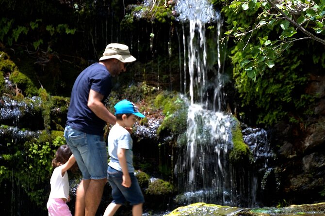 Andros Town, Pythara Waterfall, Menites Springs: Half-Day Tour - Customer Support
