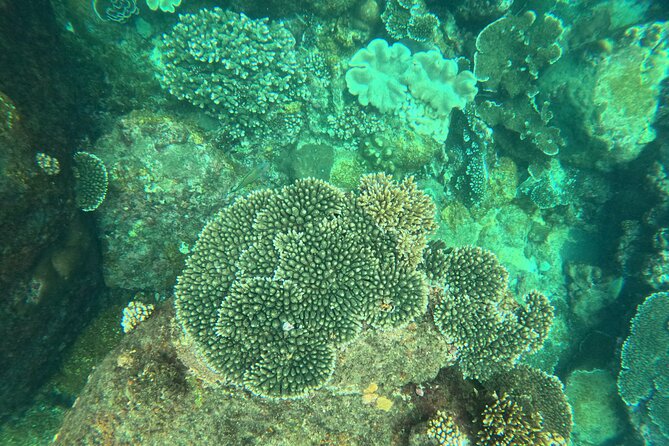 Angel Rock Snorkeling Site - Health and Safety Guidelines