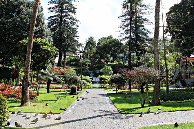 Angra Do Heroísmo by Foot - Pickup and Meeting Information
