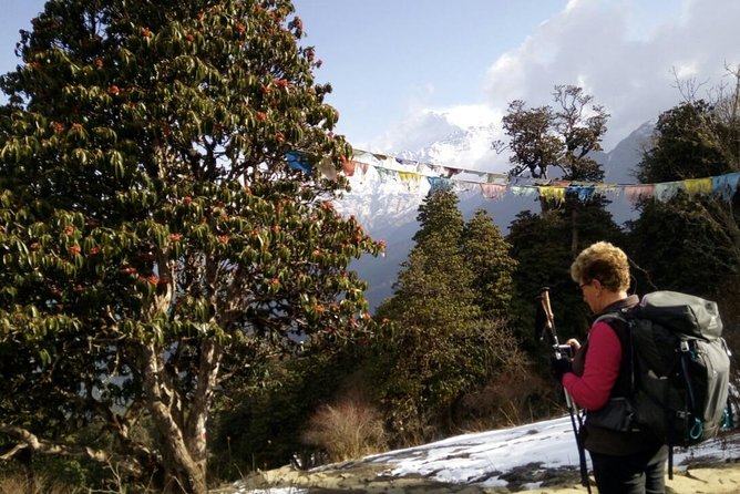 Annapurna Sunrise Trek - Scenic Views Along the Route