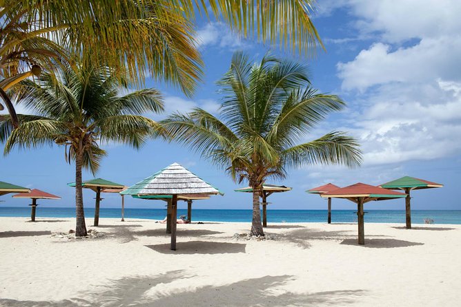 Antigua Buggy Explorer Tour From St. Johns - Driver and Passenger Requirements