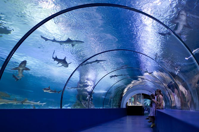 Aquarium & Face2face Wax Museum From Side - Customer Reviews and Ratings