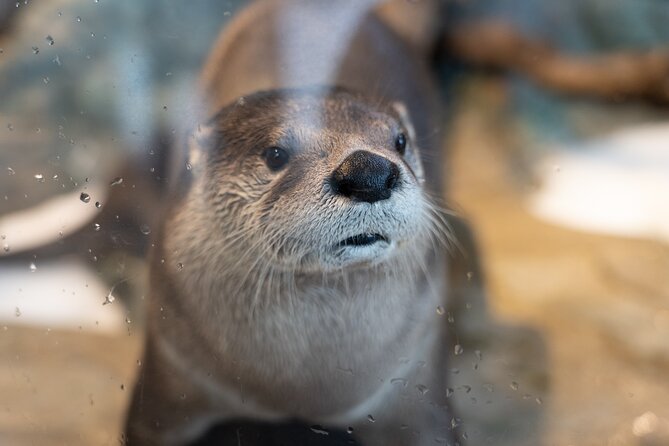 Aquarium of the Bay VIP Experience - Customer Feedback