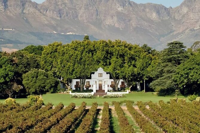 Aquila Game Reserve Safari With Wine Tasting, Transport & Lunch - Traveler Reviews