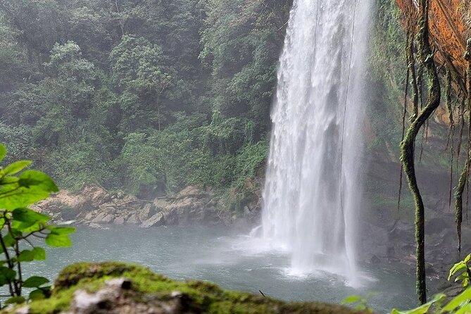 Archaeological Zone of Palenque, Misol-Ha Waterfalls, and Agua Azul Exit Palenque - Reviews Summary