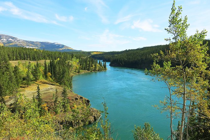Arctic Day: Hiking Tour | Half Day - Rugged Wilderness Exploration