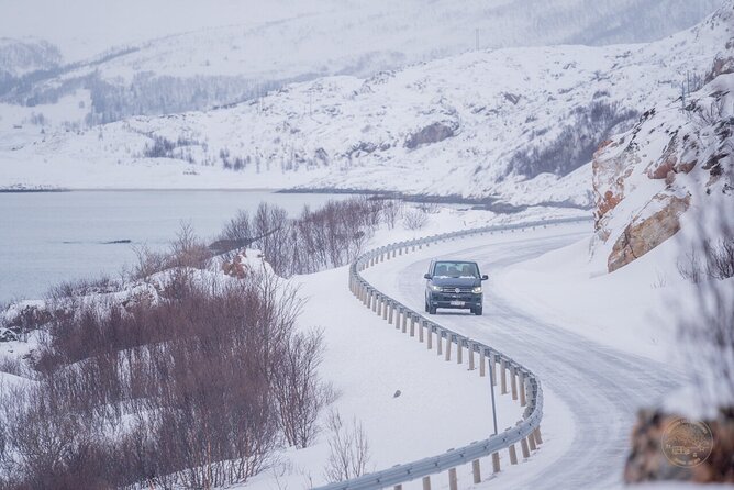 Arctic Roadtrip: Fjords With Scenic Picnic | Small Group 4x4 Van - Participation Requirements