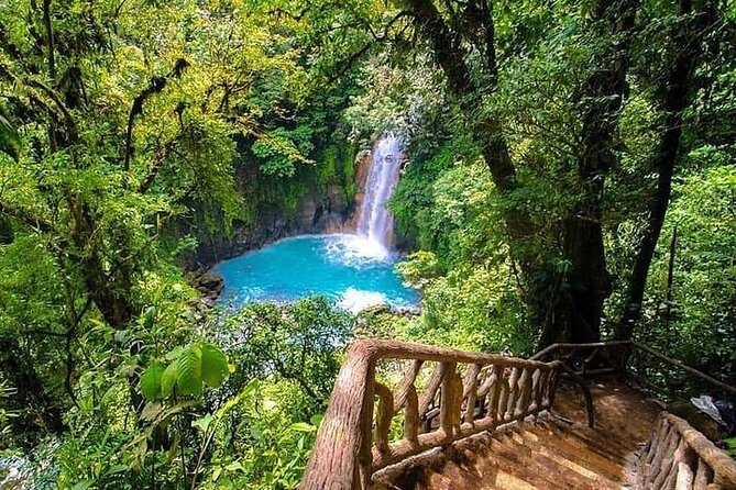 Arenal La Fortuna Tour: Park + Hanging Bridges + Thermal Waters - Pickup and Return Information