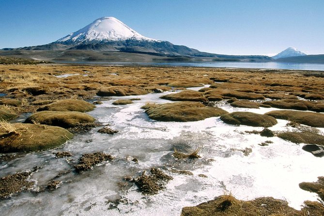 Arica: Full Day to Lauca National Park and Chungara Lake, Meals Included - Meeting and Pickup