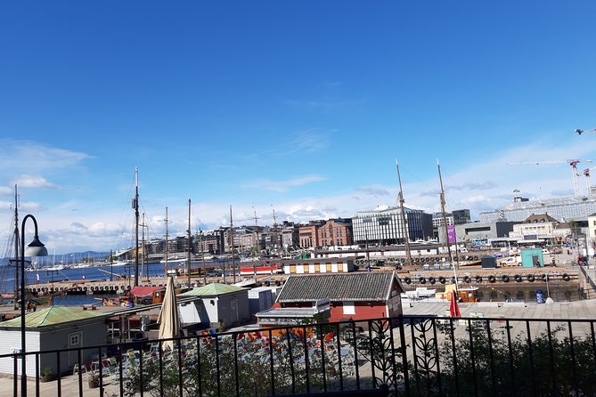 Art and Museum Tour of Oslo - Accessibility and Additional Information