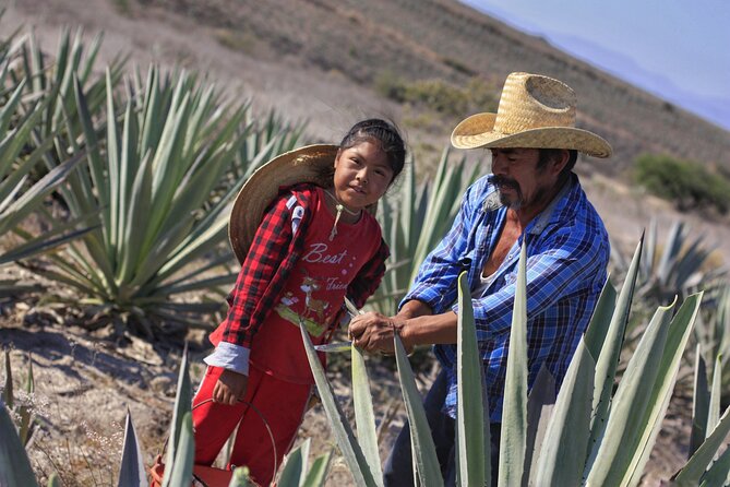 Artisanal Mezcal Distillery in an Authentic Zapotec Village - Cancellation and Booking Information