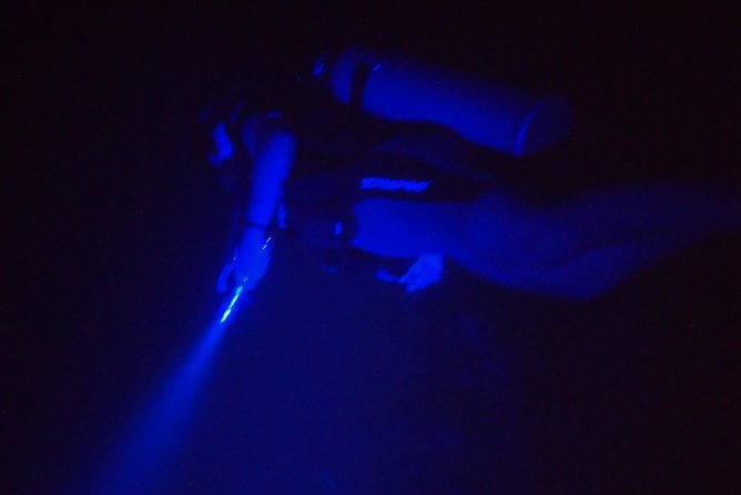 Aruba 1-Tank Guided UV Night Dive for Certified Divers With Rental Equipment - Dive Conditions and Safety