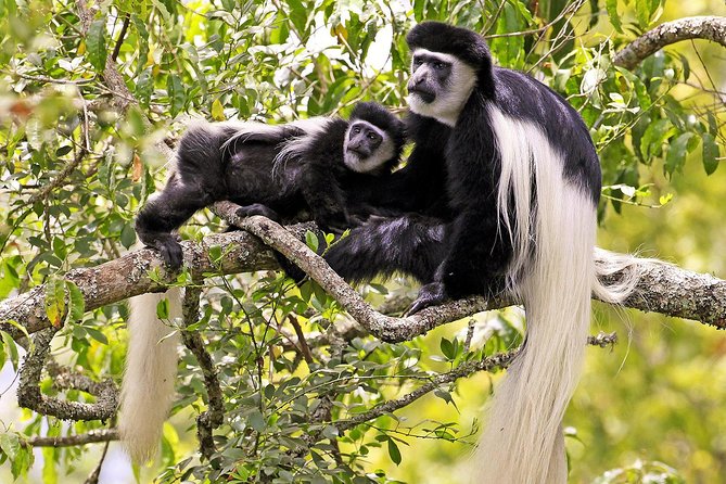 Arusha National Park Day Trip - Hiking and Trekking
