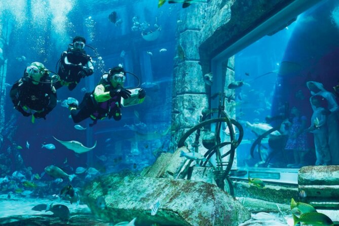 Atlantis Aquaventure and Lost Chambers Aquarium Combo Ticket - Operational Details and Schedule