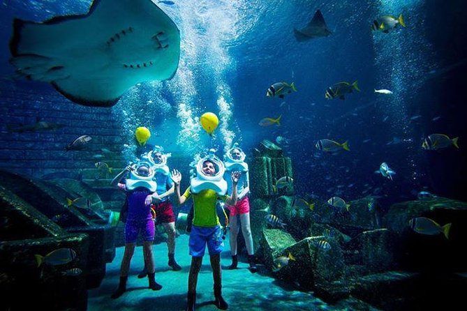 Atlantis Lost-Chamber Aquarium Dubai - Visitor Experiences and Feedback