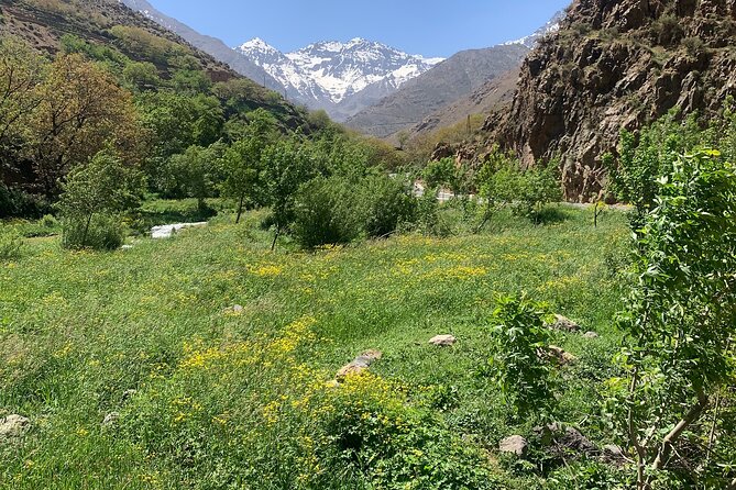 Atlas Mountain Day Trip From Marrakech - Inclusions and Amenities