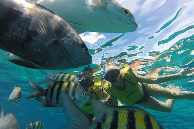 ATV Mud Kicking and Snorkeling by Boat in Cozumel - Health and Safety Considerations