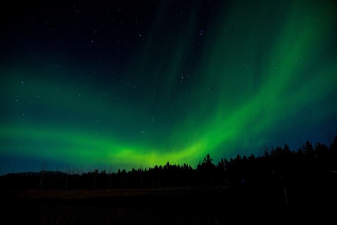 Aurora Borealis Quest: Private Yukon Nighttime Tour - Pickup Information