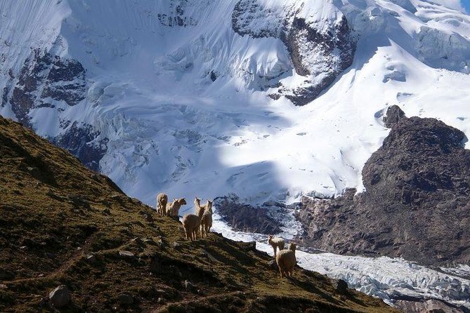 Ausangate Red Lake Trek - 1 Day - Huaynas Expeditions - Health and Safety Restrictions
