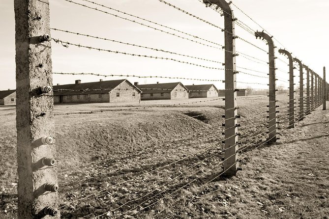 Auschwitz- Birkenau One-Day Study Tour From Krakow With Private Transfer - Tour Guide Service