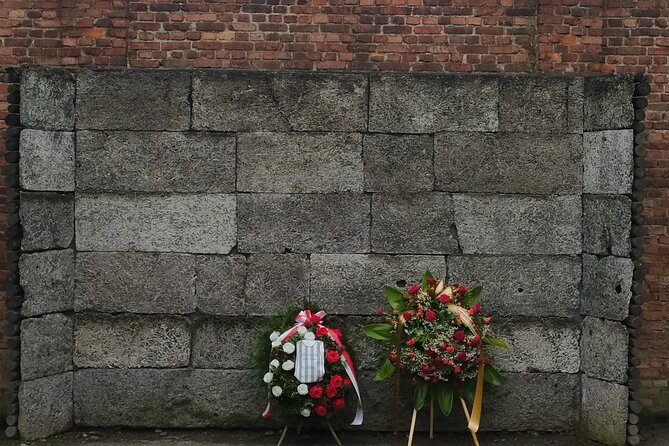 Auschwitz Museum and Salt Mine Tour With Private Transport - Private Transportation Service