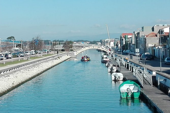 Aveiro, Costa Nova Beach and Moliceiro Boat, Half-Day From Coimbra - Highlights of the Moliceiro Boat Ride