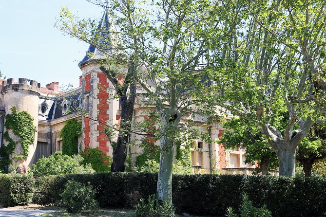 Avignons History, Local Culture & the Wines of Châteauneuf Du Pape Private Tour - Châteauneuf Du Pape Vineyards