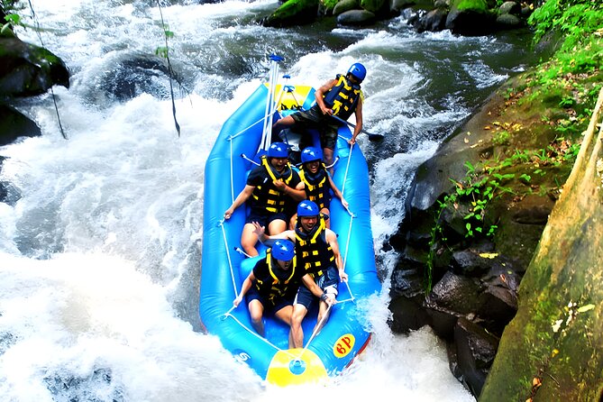 Ayung River Rafting and Ubud Waterfall Tour - Inclusions and Amenities