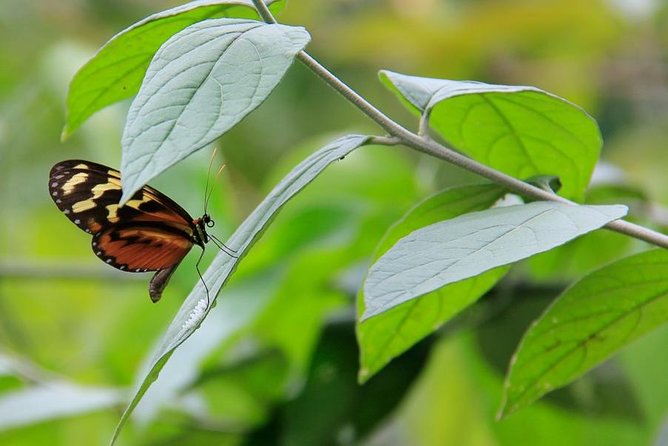 Azul Meambar National Park Day Tour From San Pedro Sula - Additional Assistance Post-Tour