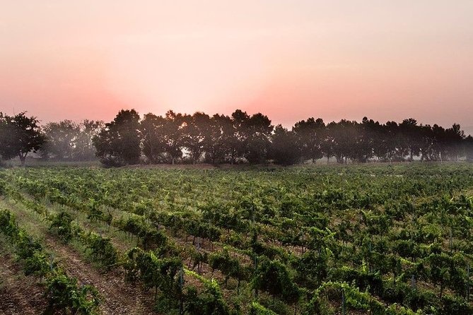 Baalback , Anjar & Chateau Ksara - Transportation and Accessibility