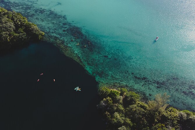 Bacalar Sunrise Stand up Paddle Board Tour With Breakfast - Tour Logistics and Details