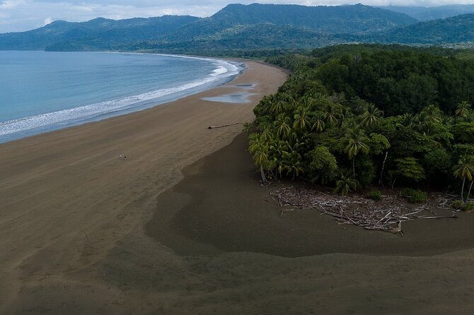 Bahia Ballena Whale and Dolphin Tour - Afternoon - Exploring Bahia Ballena