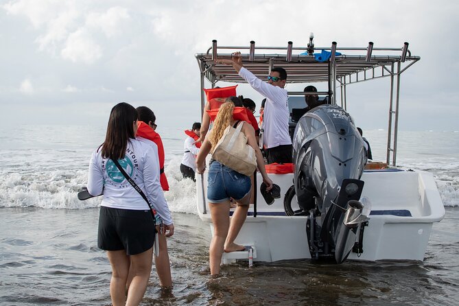 Bahia Ballena Whale and Dolphin Tour - Morning - Final Verdict On This Stay