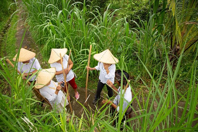 Bali Pure Trek With Spiritual Journey, Purification Ceremony, Local Priest -Ubud - Spiritual Journey