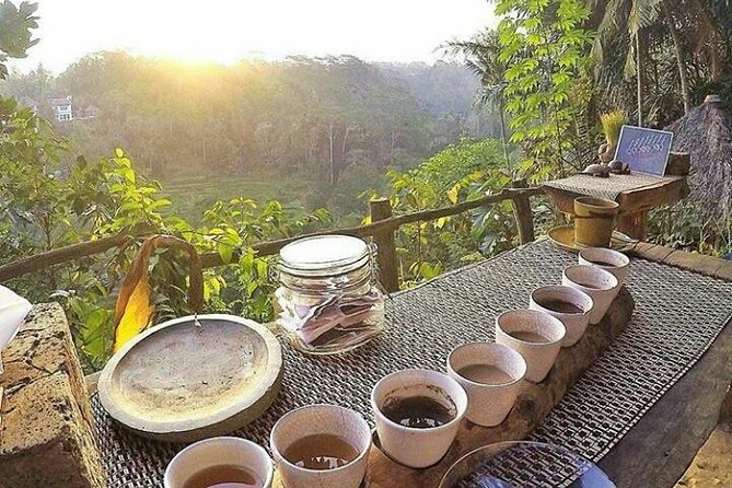 Bali Romantic Floating Breakfast - Jungle Swing - Monkey Forest - Ubud Art Shop. - Health and Safety Considerations