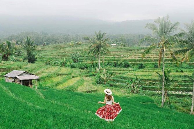 Bali Tour Package 9 Days 8 Nights - Cultural Activities