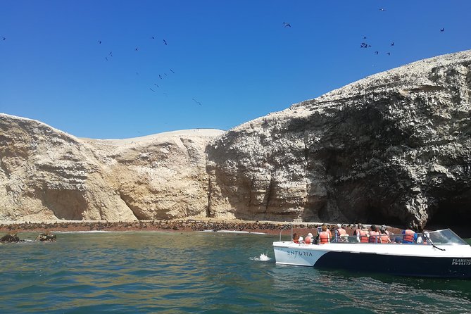 Ballestas Islands, Paracas Reserve & Skulls Museum Private Tour - Itinerary Highlights