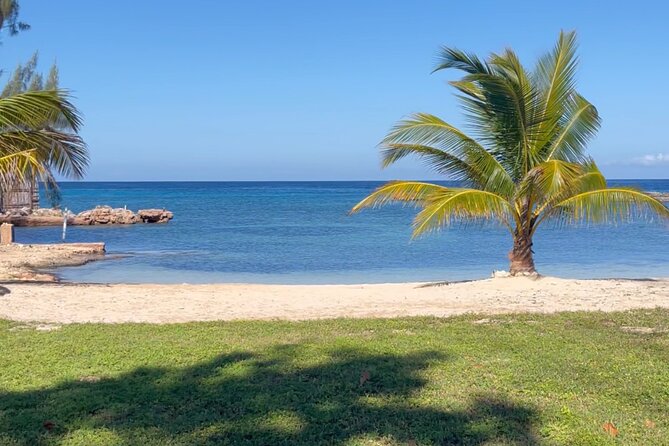 Bamboo Rafting & Horseback Ride N Swim Guided Tour in Montego Bay - Cancellation and Reservations